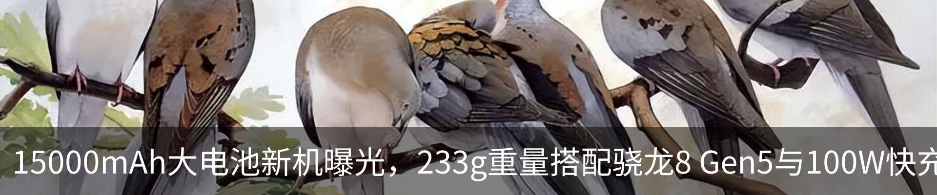 资讯动态
